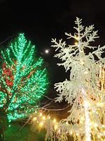 DeWitt Christmas 2015