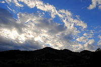 Danny and Mickey Wedding 175